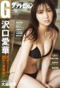 【3980円以上送料無料】グラビアザテレビジョン vol.72/