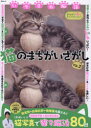 【3980円以上送料無料】いやされ脳活猫のまちがいさがし VOL.2/今野裕之/監修