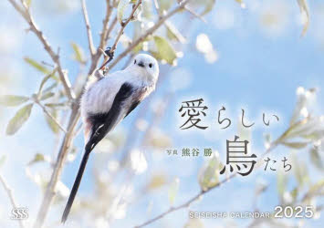 【3980円以上送料無料】’25　愛らしい鳥たちカレンダー／熊谷勝