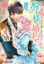 【3980円以上送料無料】夜会で『適当に』ハンカチを渡しただけなのに、騎士様から婚約を迫られています 2/六花きい/著