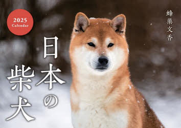【3980円以上送料無料】’25　日本の柴犬Calendar／蜂巣文香