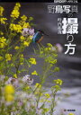 【3980円以上送料無料】野鳥写真の撮り方/叶内拓哉/著