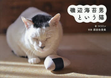 【3980円以上送料無料】磯辺海苔男という猫／マリリン／著　原田佐登美／写真