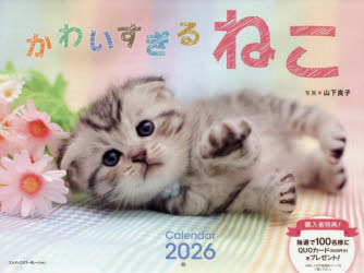 3980߰ʾ̵2026襤ͤɻ