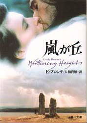 【3980円以上送料無料】嵐が丘／エミリ・ジェイン・ブロンテ／〔著〕　大和資雄／訳