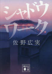 【3980円以上送料無料】シャドウワーク／佐野広実／著