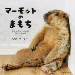 パイインターナショナル