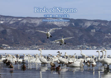 【3980円以上送料無料】Birds　of　Nagano　吉村健二野鳥写真集／Kenji　Yoshimura／著