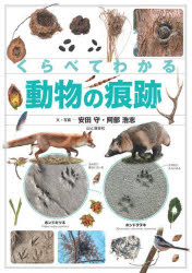 山と溪谷社