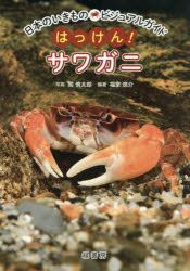 【3980円以上送料無料】はっけん！サワガニ／関慎太郎／写真　福家悠介／編著