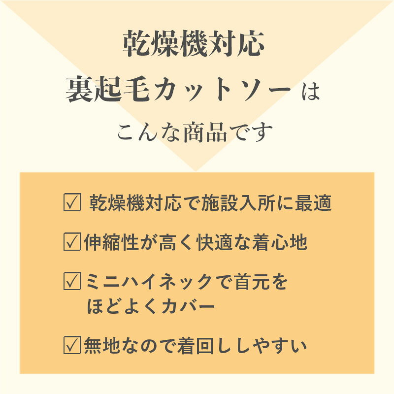 シニアファッション レディース 80代 70代 60代 90代 秋冬 あったか 長袖 [装生] 乾燥機対応 もちもち 裏起毛 後ろ長め カットソー おばあちゃん 服 誕生日 プレゼント 婦人服 女性 ハイミセス ミセス 祖母 お年寄り 老人 高齢者 キテコ tc-mart-10036474 キテコ_TCマート シニア服専門店 サンプル画像3