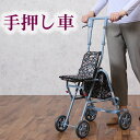 シルバーカー・サニーウォーカーAS-III 【SGマーク取得商品】 (シルバーカー 手押し車 老人  ...