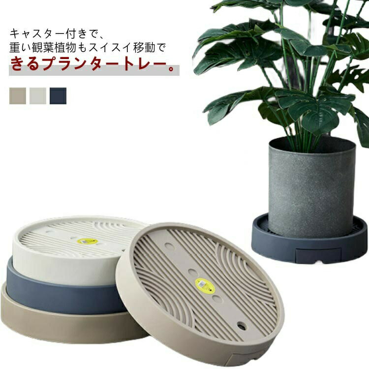 乐天商城 - 台車 鉢植え 丸形 トレイ プレート 植木鉢トレー プランタースタンド 鉢台 キャスター付き 集水受け皿 プランター台 プランターベース 鉢置き台 観葉植物 移動便利 プランタートレイ 園芸ラック 受け皿