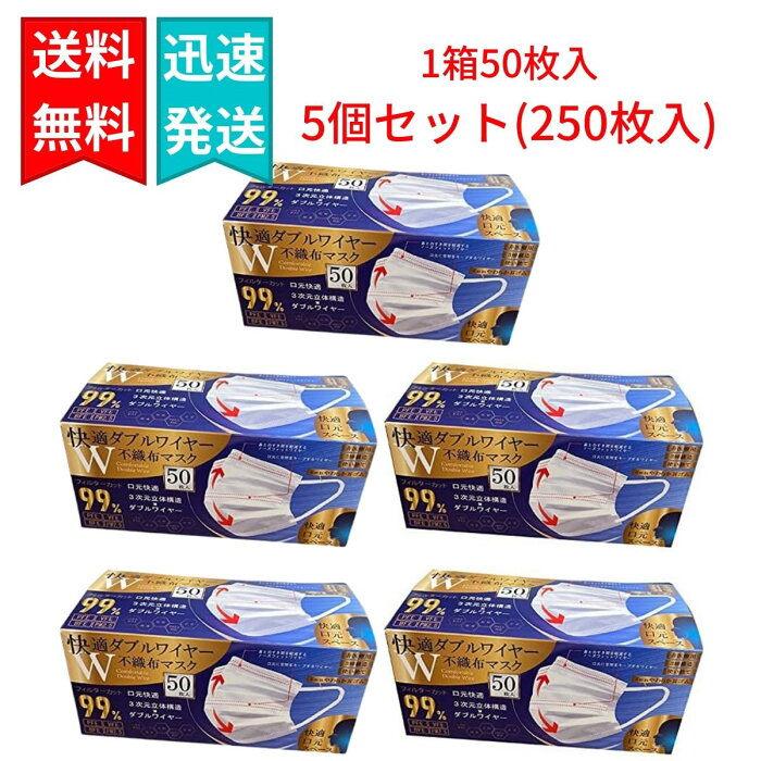 【500円OFFクーポンあり】快適 ダブルワイヤーマスク 不織布 50枚入×5個（合計250枚入り） ふつうサイズ ホワイト 3次元立体構造 【抗菌マスクケース付き】