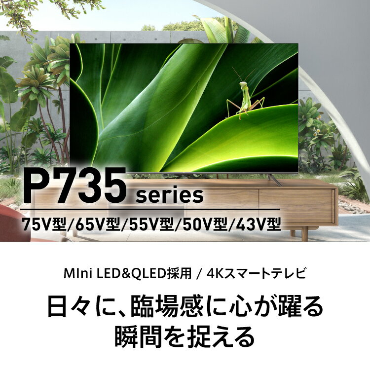 テレビ55型 進化した画質処理と立体音を見事に響かせるDolby Atmos技術を採用、臨場感が魅力。(Google TV)