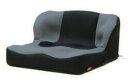【送料無料】【メーカー直送品】【タカノ】座位保持クッション LAPS TC-L01 547156