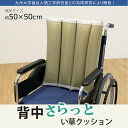 【送料無料】【メーカー直送品】【イケヒコ・コーポレーション】背中さらっとクッション い草 たたみ 畳 汗臭 加齢臭 ニオイ 対策 ムレにくい サラサラ におい対策 夏 暑さ対策 7713209 739014
