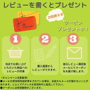 【送料無料】【あす楽11時】【特殊衣料】車椅子シートベルト カーバックルタイプ 4017 675139 3