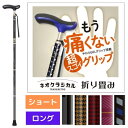 \27日01:59まで先着クーポン/【送料無料】【シナノ】ネオクラシカル 折り畳み ショート ロング ステッキ 杖 人気 介護 プレゼント ポーチ付き ケース付き おしゃれ 敬老の日 350202