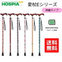 \11日01:59まで先着クーポン/【送料無料】【ケイ・ホスピア】愛杖Eシリーズ 伸縮タイプ おしゃれ 杖 介護 介助 リハビリ 健康 歩行補助 女性 男性 紳...