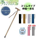\11日01:59まで先着クーポン/【送料無料】母の日 父の日 誕生日 敬老の日 お祝い 豪華ギフトBOX入り プレゼントウェルファン 夢ライフステッキ 伸縮型...