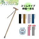 【送料無料】ウェルファン 夢ライフステッキ 伸縮型 スリムタイプ 無地 杖 歩行 移動 一本杖 軽量 伸縮杖 売れ筋 人気 贈り物 年寄り 誕生日 老人 高齢者 敬老の日 室内 敬老の日 安心 おしゃれ 009711