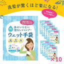 \26日01:59まで先着クーポン/【2枚×10セット】【四国紙販売】水のいらない泡なしシャンプー ウェット手袋 入院 介護 アウトドア 防災 備蓄 簡単 爽快...