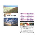 ★ランキング入賞★【メーカー直送品】【株式会社YELL】カラオケ DVD 懐かしの名曲集〜vol.3〜 高齢者 教材 介護 施設 レクリエーション レク 昔 懐...