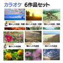 ★ランキング入賞★【メーカー直送品】【株式会社YELL】カラオケ DVD 6作品セット 懐かしの童謡・唱歌 懐かしの名曲集 春夏秋冬編 わらべうた編 あの町・こ...