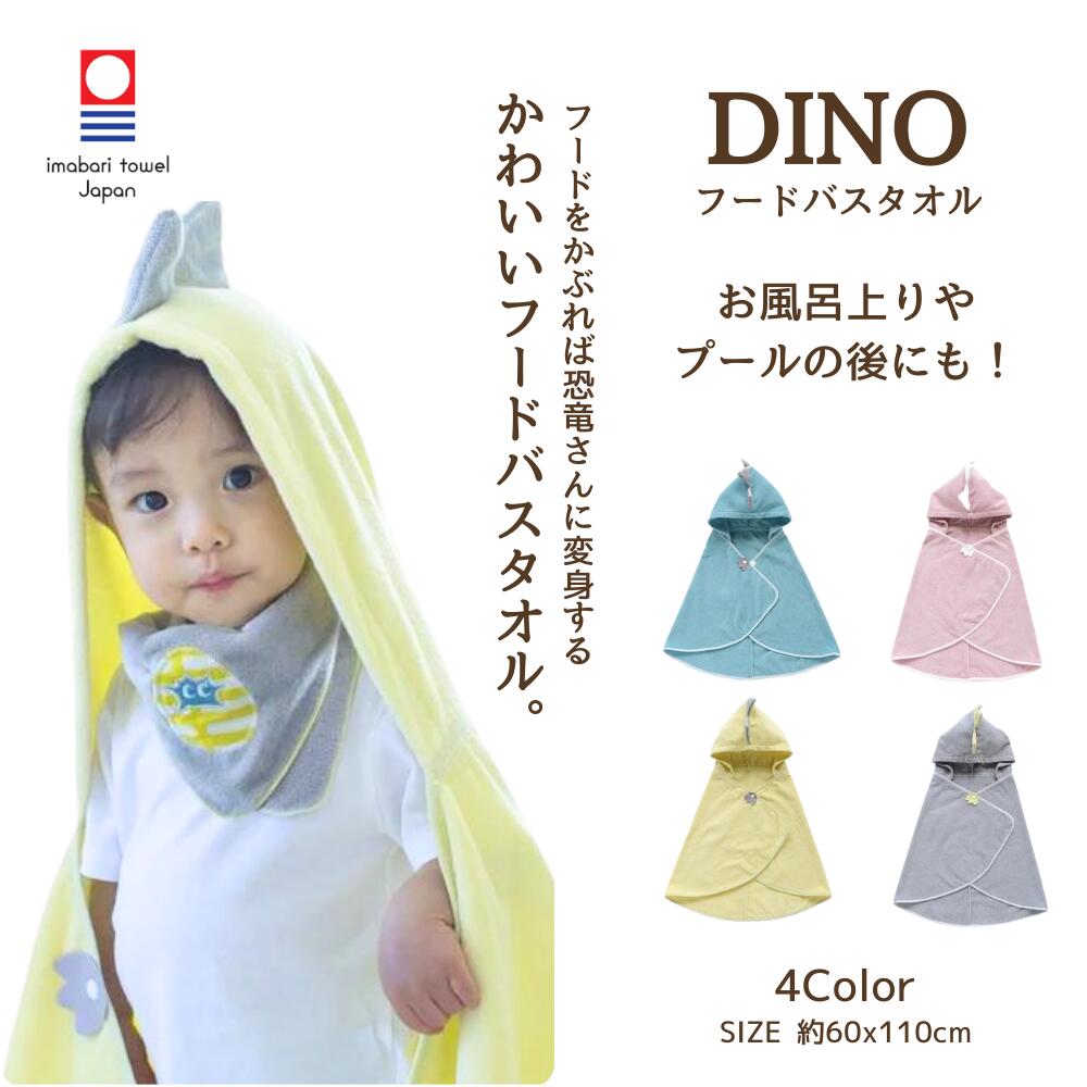 恐竜ブランケットポンチョ（3枚目）