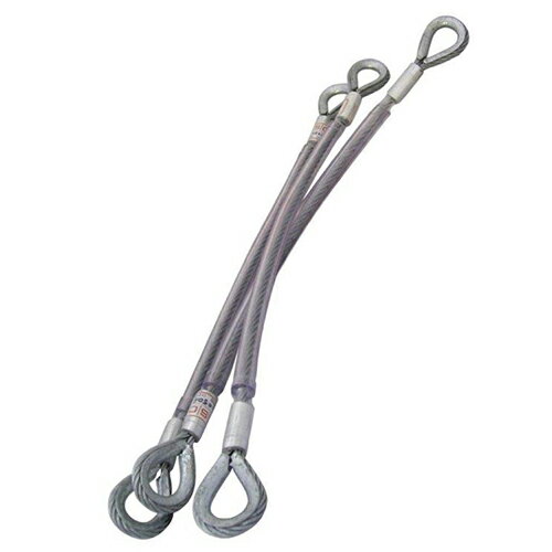 ISC ワイヤーアンカーストロープ 2m 金属ワイヤー 保護用PVCプラスチックチューブ アウトドア ツリーク..