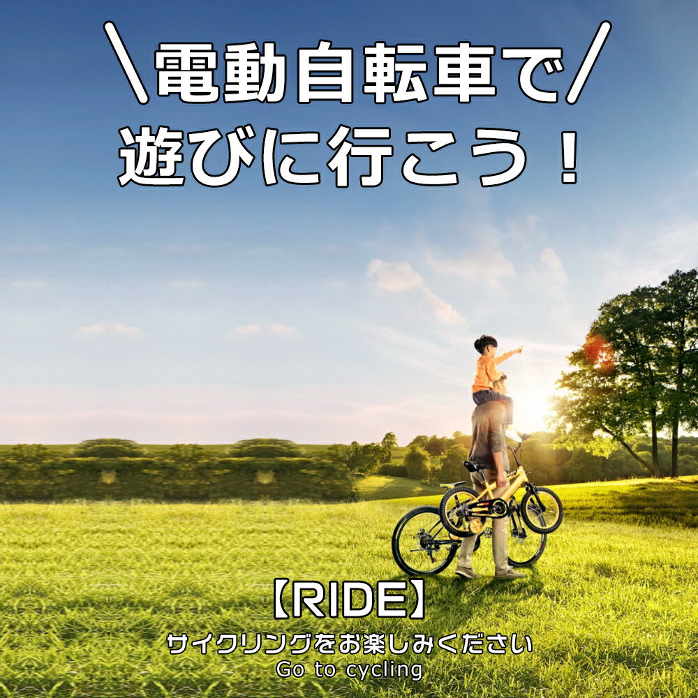 1年保証 ミニベロ 電動アシスト 折りたたみ 電動アシスト自転車 折りたたみ 14インチ 折りたたみ自転車 電動ロードバイク 軽量 安いアシスト自転車 折りたたみ 14インチ バイク免許不要 アシスト自転車 型式認定済 公道走行可能 電動折り畳み自転車 おしゃれ 低身長 旅行男性 2