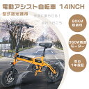 2023最新モデル 公道走行可能 電動バイク FLYFISH 電動アシスト自転車