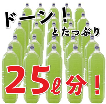 【楽天スーパーSALE　半額】メガ盛り冷茶(5g×25P)水出し茶 水出し緑茶 冷茶 ティーパック ティーバッグ お茶 緑茶 日本茶 深蒸し茶 深むし茶 掛川茶 お得 やぶきた茶