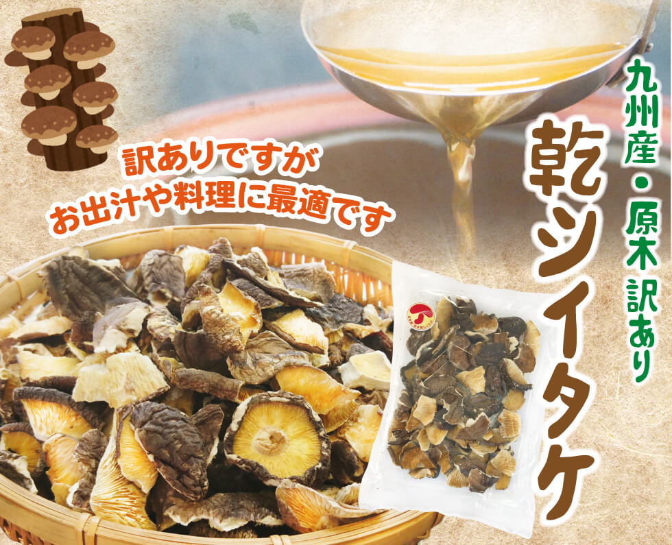 九州産　われ葉 乾しいたけ　40g×2袋セット 〜国産 無添加 無農薬 干ししいたけ 干しシイタケ 椎茸 しいたけ シイタケ 訳あり お徳用 2