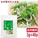 国産 よもぎ茶　3g×40P送料無料 よも