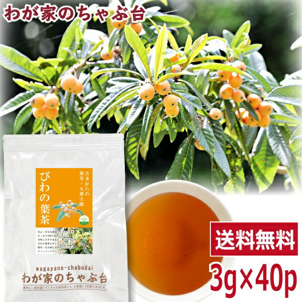 びわの葉茶 3g×40P 　〜送料無料 ビワの葉茶 びわのは茶 ティーバッグ ビワ 枇杷 葉 茶 大薬王樹 健康茶 ノンカフェ…