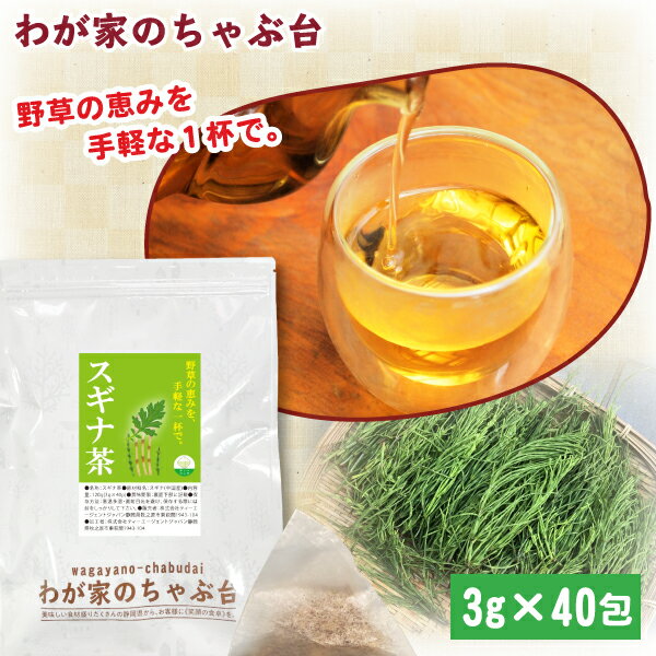 Rakuten - スギナ茶 3g×40P | わが家のちゃぶ台 送料無料 ティーバッグ すぎな茶 スギナ 無添加 ノンカフェイン ティーバッグ 野草茶 ハーブティー お茶 ギフト 健康 プチギフト 1000円 ポッキリ