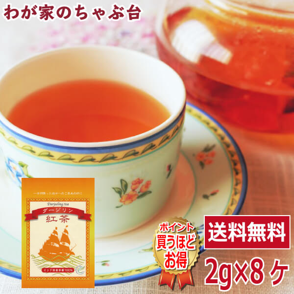 送料無料 紅茶 ダージリン ティーパック 2g×8P　〜紅茶 ティーバッグ ティーパック ティー こうちゃ アイスティー ミルクティー チャイ アフタヌーンティー chai