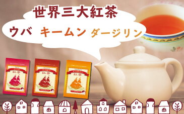 送料無料　紅茶　ダージリン　ティーパック〜紅茶 ティーバッグ ティーパック ティー こうちゃ アイスティー ミルクティー チャイ アフタヌーンティー chai