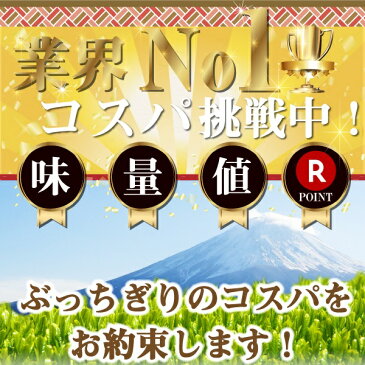 送料無料 お徳用 静岡茶 200g 2袋セット〜お茶 緑茶 煎茶 茶 茶葉 お茶葉 静岡 牧之原 国産 深蒸し 深むし 健康 健康茶 一番茶 新茶 色 香り うがい 藪北 やぶきた やぶ北 甘い 美味しい おいしい お徳 お得 お土産 冷茶 水出し 氷出し 急須