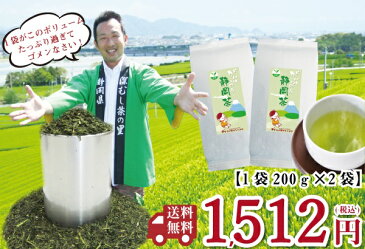 送料無料 お徳用 静岡茶 200g 2袋セット〜お茶 緑茶 煎茶 茶 茶葉 お茶葉 静岡 牧之原 国産 深蒸し 深むし 健康 健康茶 一番茶 新茶 色 香り うがい 藪北 やぶきた やぶ北 甘い 美味しい おいしい お徳 お得 お土産 冷茶 水出し 氷出し 急須