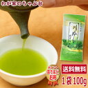 送料無料　川根茶　新芽の香 100g 〜お茶 緑茶 煎茶 茶 茶葉 お茶葉 静岡 川根 山あい 山間 国産 中蒸し 中むし 健康 一番茶 新茶 色 香り うがい ウイルス対策 藪北 やぶきた やぶ北 甘い 美味しい おいしい お徳 お得 冷茶 カテキン 氷出し 急須　md