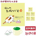 ほんの気持ちです 緑茶 ティーバッグ 抹茶入り 5袋セット(1袋2g×2個) お茶 お徳用 深蒸し茶 ティーパック メッセージ付 送料無料 静岡茶 掛川茶 水出...