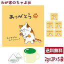 ありがとう 緑茶 ティーバッグ 抹茶入り 5袋セット(1袋2g×2個) お茶 お徳用 深蒸し茶 ティーパック メッセージ付 送料無料 静岡茶 掛川茶 水出し緑茶 冷茶 茶葉 深むし茶