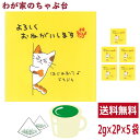 よろしくおねがいします 緑茶 ティーバッグ 抹茶入り 5袋セット(1袋2g×2個) お茶 お徳用 深蒸し茶 ティーパック メッセージ付 送料無料 静岡茶 掛川茶...