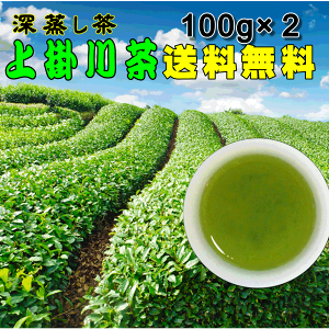 【注目の深蒸し茶】日本茶でほっこり(緑茶・煎茶)NHK ためしてガッテンで紹介 掛川茶100g×2袋★【送料無料】4本までメール便対応