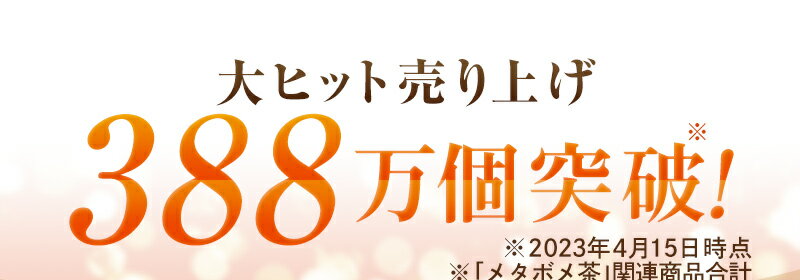 メタボメ茶 お試しセット ティーバッグ 黒豆茶 烏龍茶 プーアール茶 杜仲茶 健康茶 健康飲料 ティーパック ティーライフ