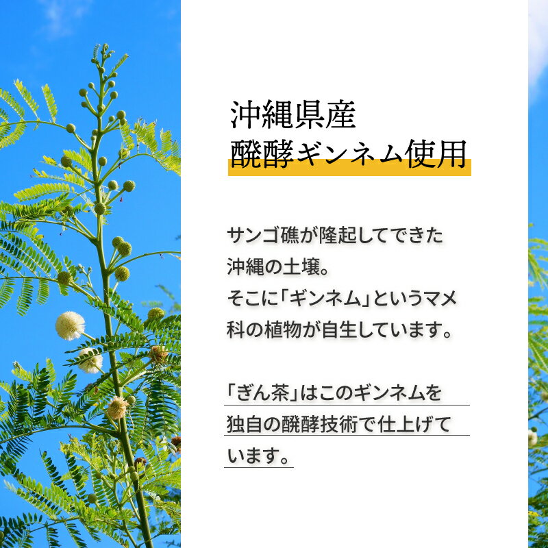 ぎん茶 ポット用60個入 ( カルシウム 鉄 食物繊維 はとむぎ茶ブレンド 醗酵ギンネ...