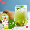 補酵素のチカラ 乳酸菌プラス 500mL (